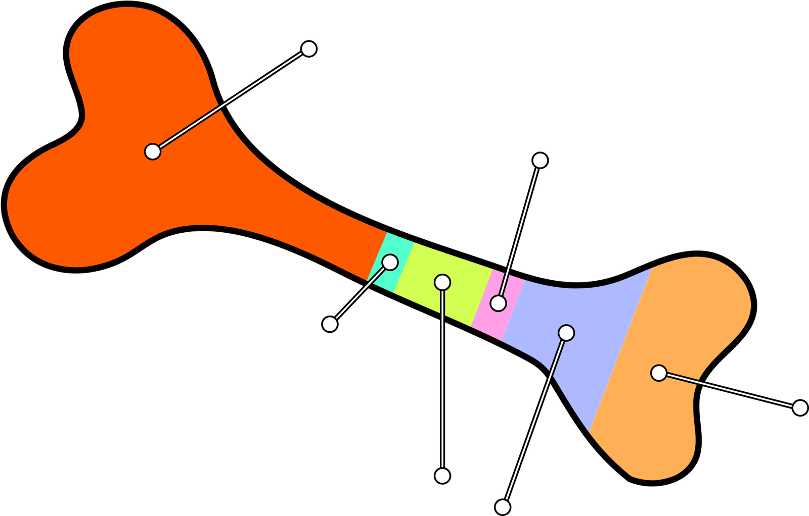 Tokenomics Bone